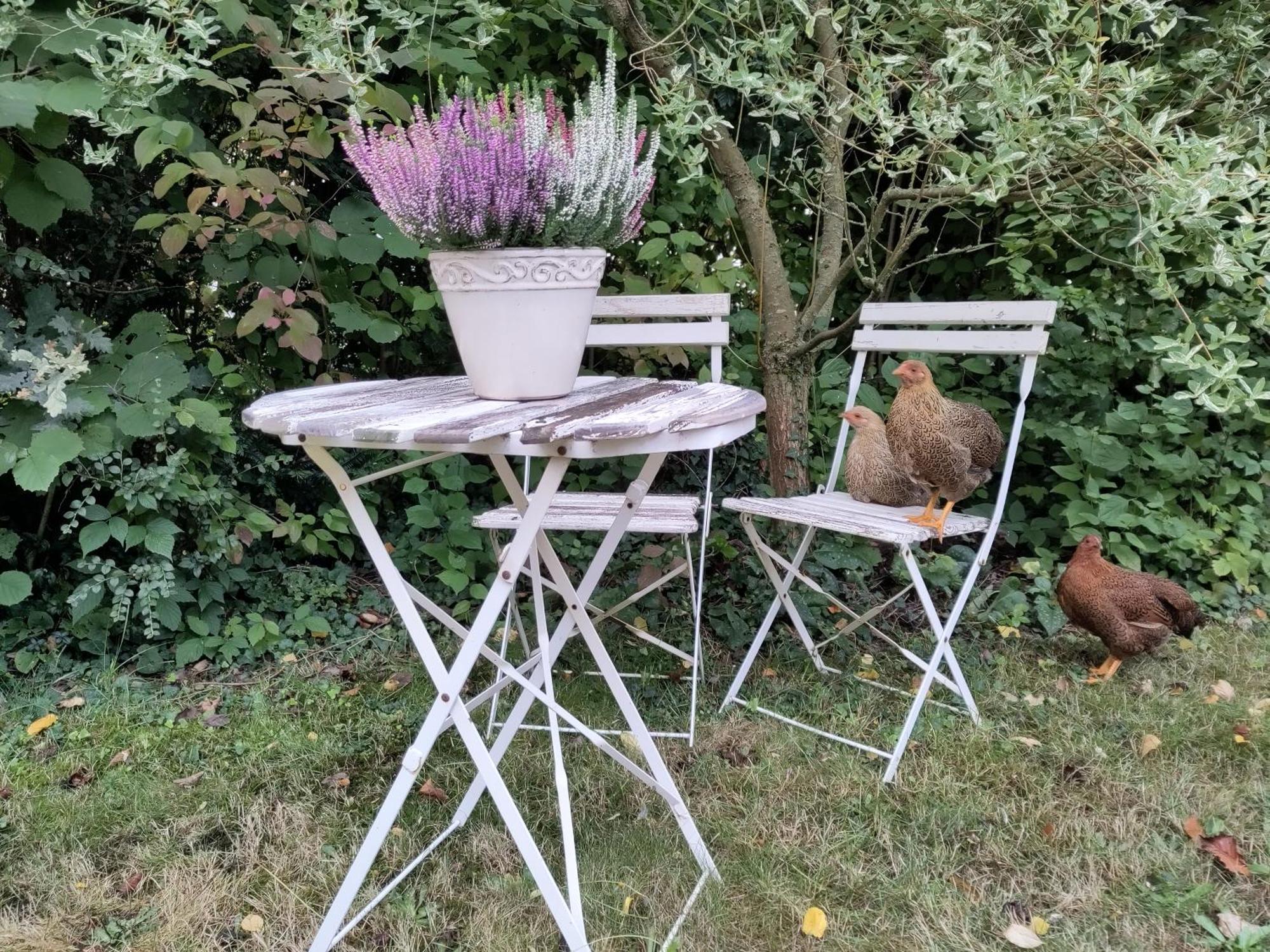 Ruhige Ferienwohnung „Suedhang“ Direkt Am Wald Bad Arolsen Zewnętrze zdjęcie