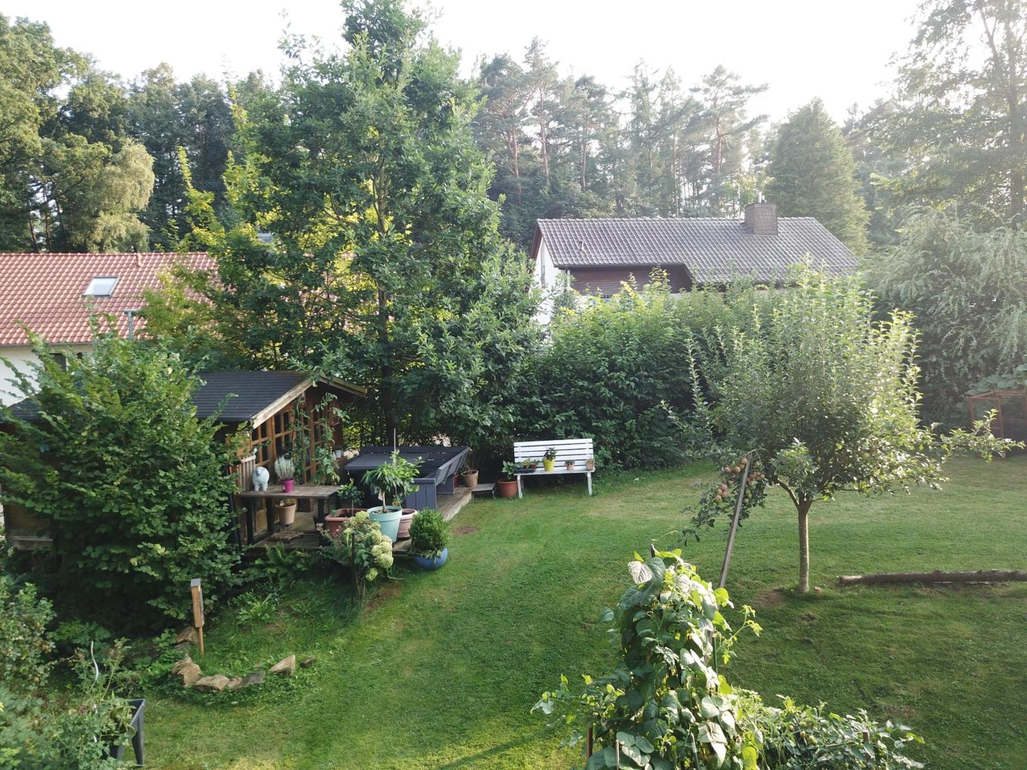 Ruhige Ferienwohnung „Suedhang“ Direkt Am Wald Bad Arolsen Zewnętrze zdjęcie